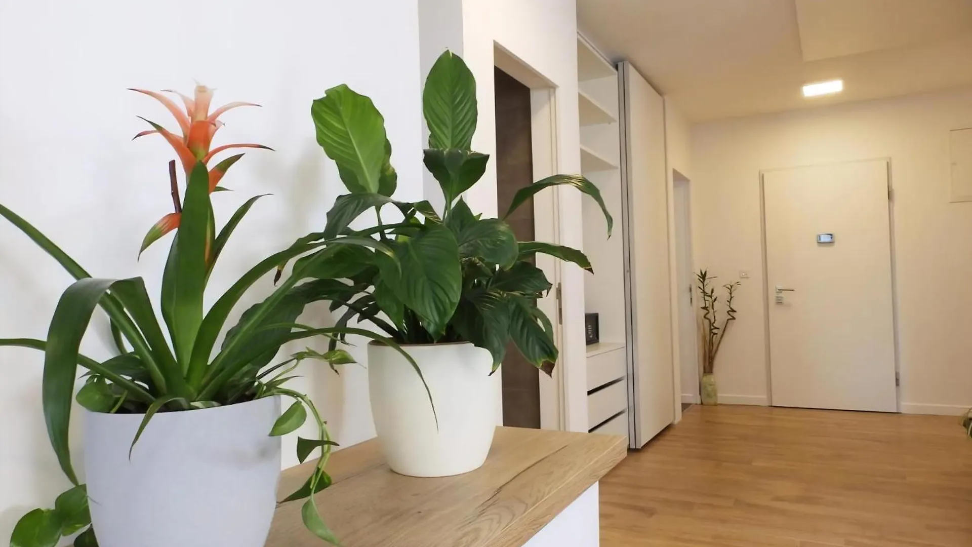 Holiday home Ferienhaus Bokan Pula Croatia